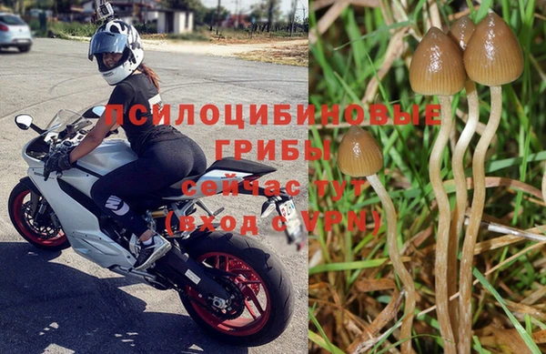 дурь Навашино