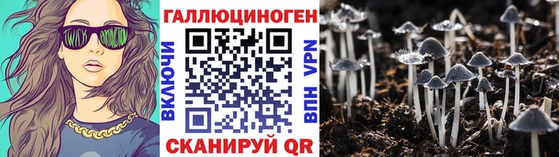Галлюциногенные грибы Psilocybine cubensis  Куртамыш 